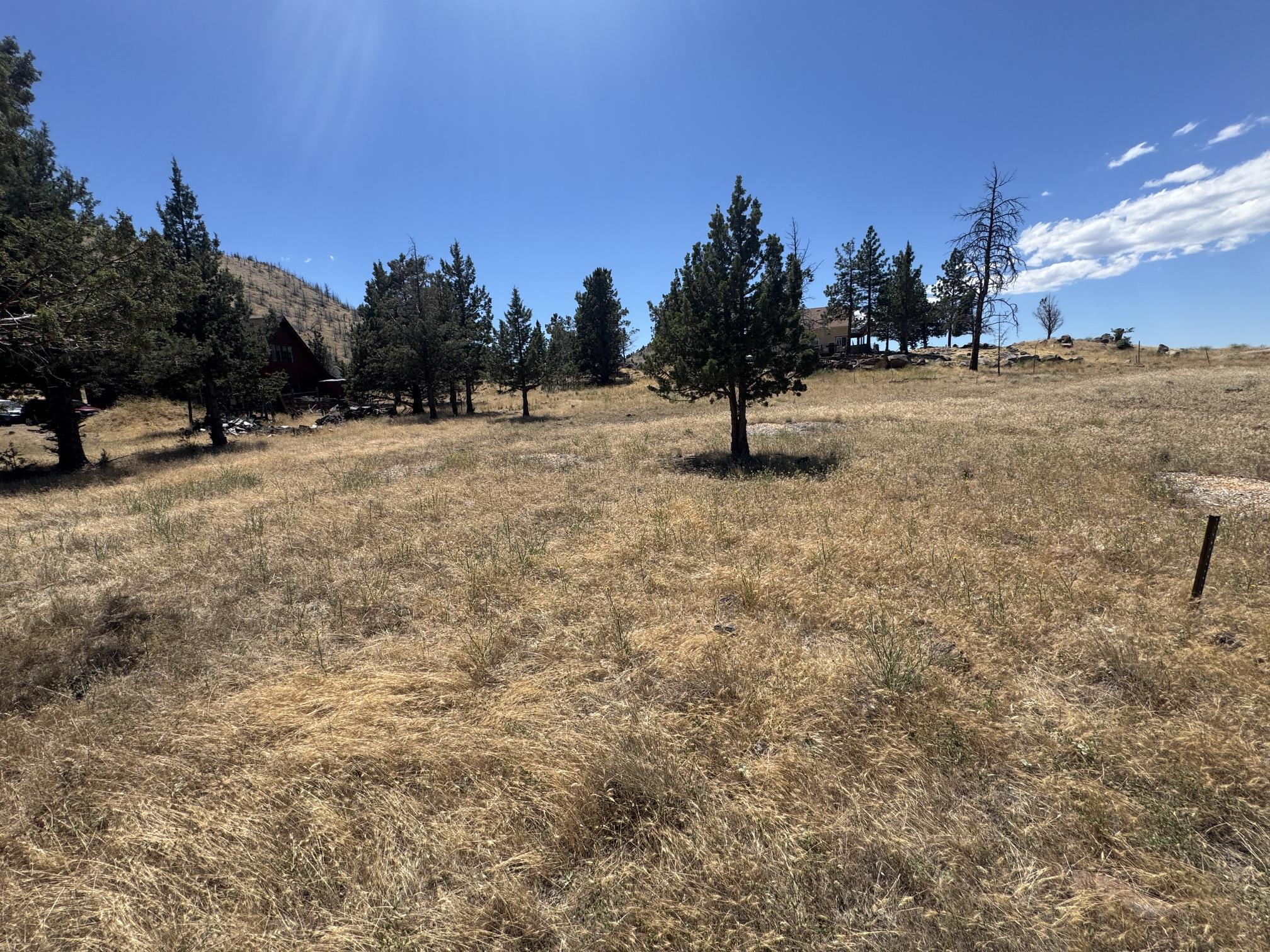 Land in Weed 2