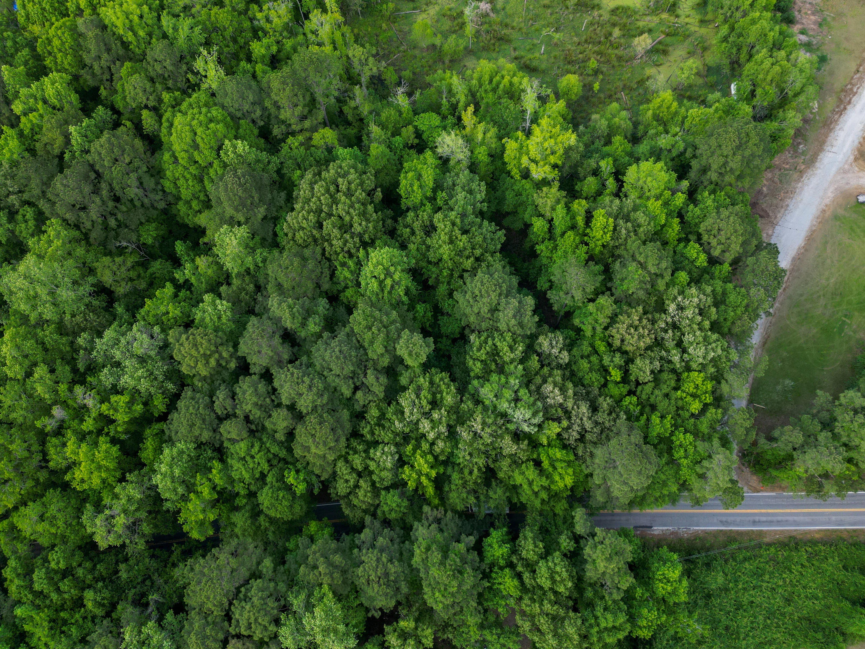 Land in Johns Island 5