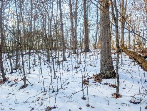 0 Tract 16 Ch 59, Cutler, OH, 45724 | Card Image