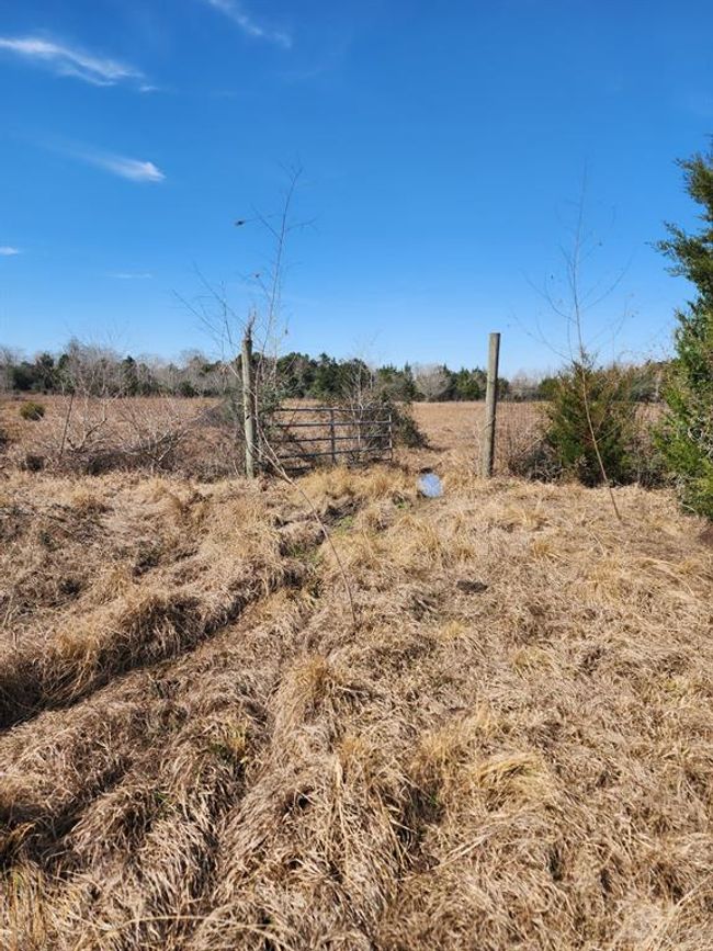 1083 County Road 147, House other with 3 bedrooms, 2 bathrooms and 2 parking in Alvin TX | Image 35