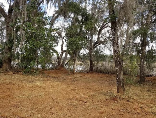 1005 N Pennybacker Rd, Home with 0 bedrooms, 0 bathrooms and null parking in Inverness FL | Image 6