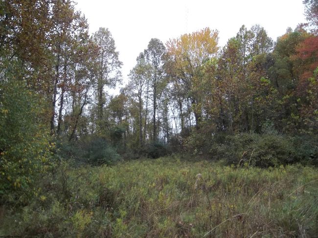 2410 Buckhannon Pike, Home with 0 bedrooms, 0 bathrooms and null parking in Mount Clare WV | Image 38