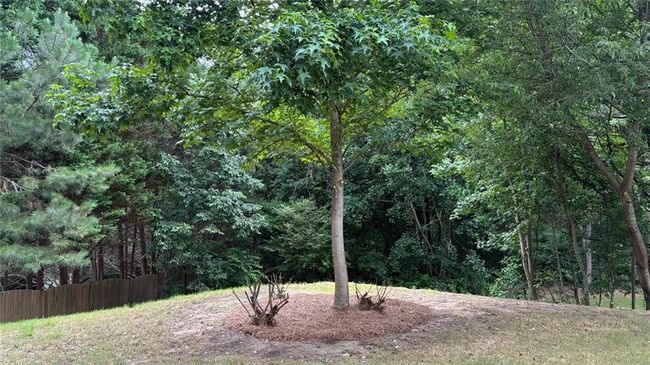 3066 Gem Creek Rd, House other with 4 bedrooms, 3 bathrooms and null parking in Buford GA | Image 42