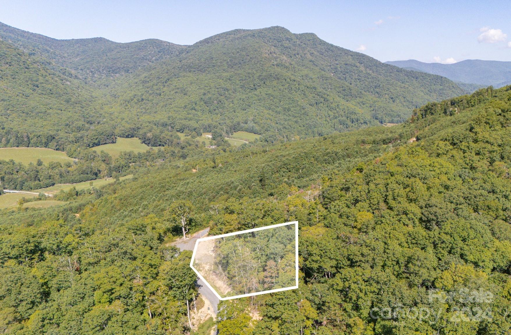 Land in Spruce Pine 3