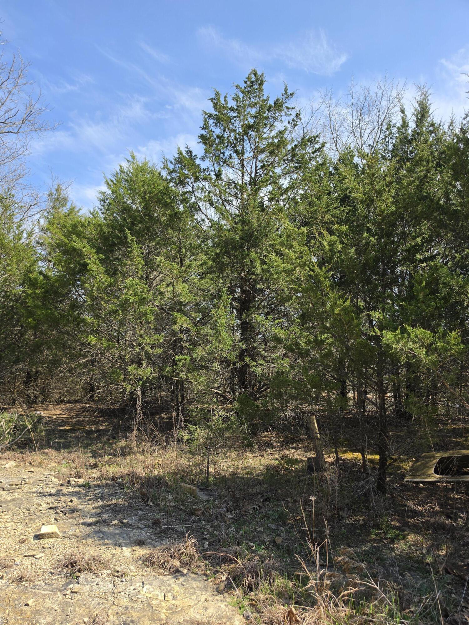 Land in Branson 4