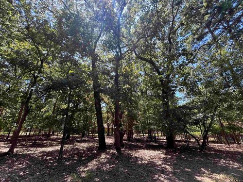 202 Magnolia Ln, Holly Lake Ranch, TX, 75765-7814 | Card Image