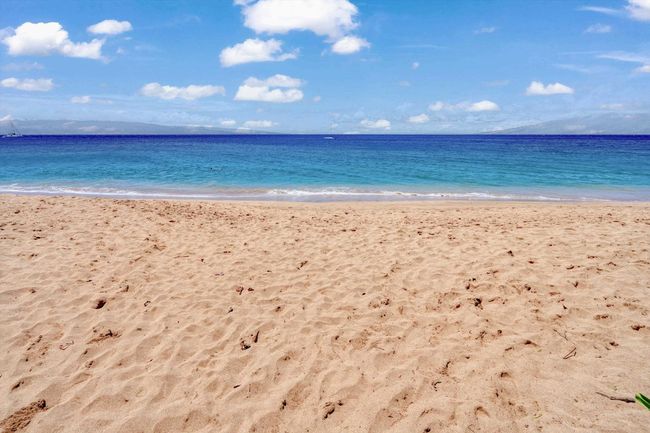 302 - 45 Kai Ala Dr, Condo with 1 bedrooms, 1 bathrooms and null parking in Lahaina HI | Image 48