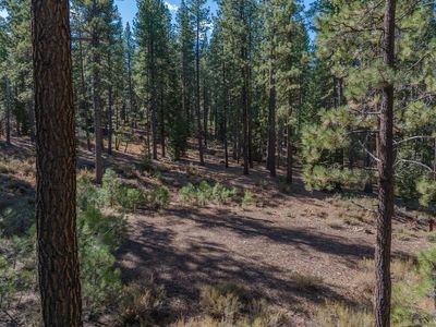 10718 - C Regency Circle, Home with 0 bedrooms, 0 bathrooms and null parking in Truckee CA | Image 3