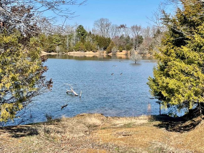 000 Brewer Rd, Home with 0 bedrooms, 0 bathrooms and null parking in Conway AR | Image 38