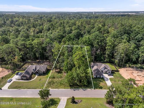 0 Everglades, Hattiesburg, MS, 39402 | Card Image