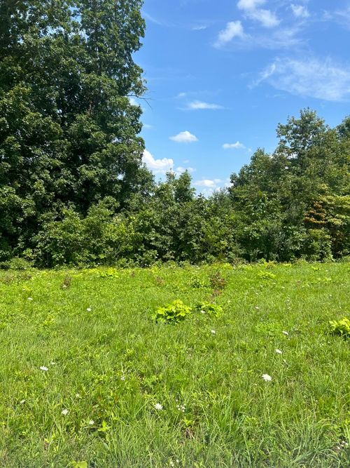 Lot Serenity Ct, Nancy, KY, 42544-8785 | Card Image
