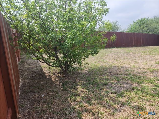 362 Azalea Way, House other with 4 bedrooms, 3 bathrooms and null parking in New Braunfels TX | Image 4