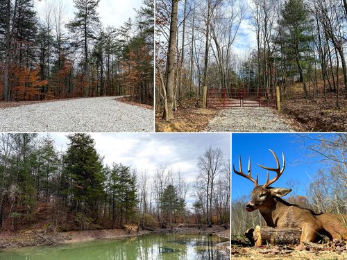 woods-turkey-run-tract-3-0 Dutch Ridge Road, New Lexington, OH, 43764 | Card Image
