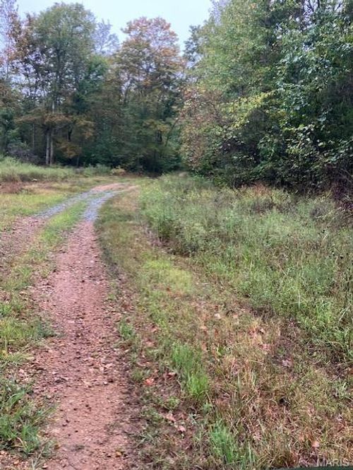 178 Madison St, Fredericktown, MO, 63645 | Card Image