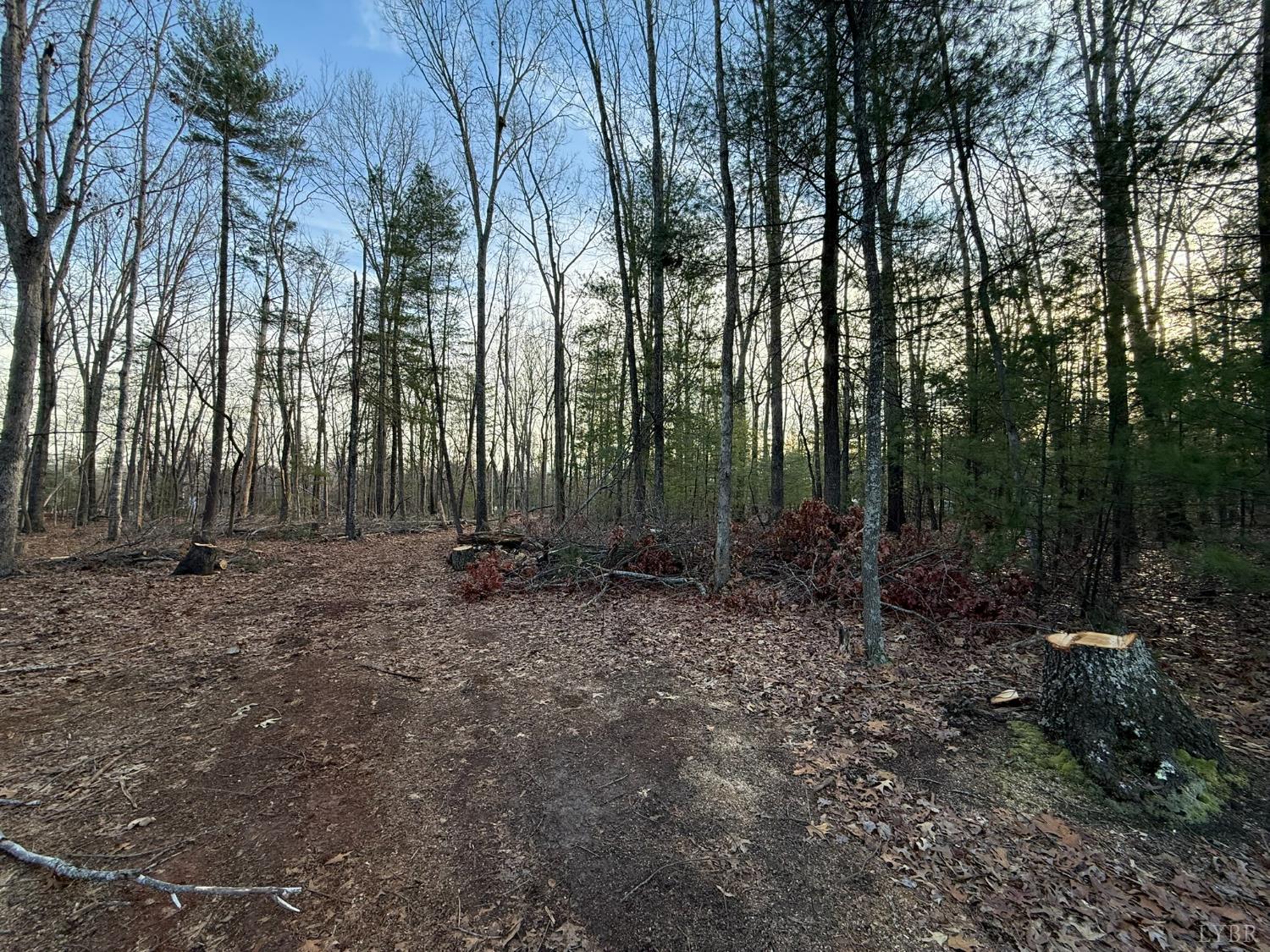 Land in Monroe 5