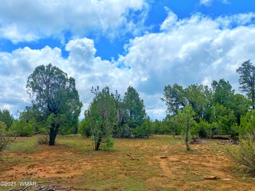 TBD Bear Heights Rd, Heber, AZ, 85928 | Card Image