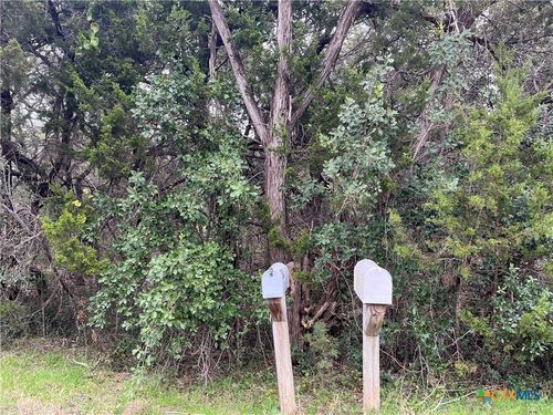 364 Lake Park Loop, Canyon Lake, TX, 78133-5685 | Card Image