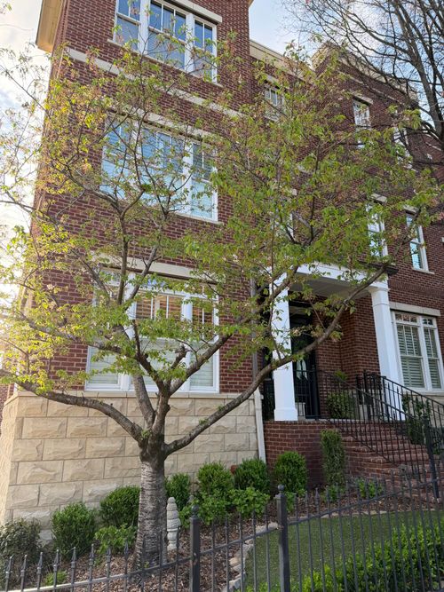 299 Cherry St, Chattanooga, TN, 37403-1011 | Card Image