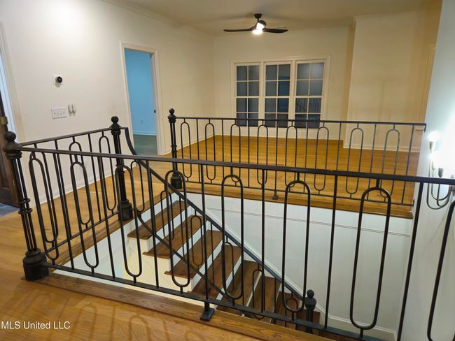 20250801_055851 | Image 69