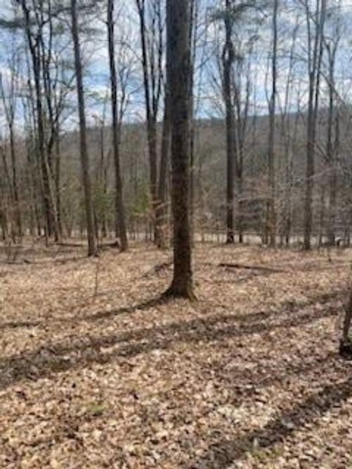 181 Dorman Rd, Binghamton, NY, 13901-1032 | Card Image