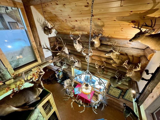 Looking down from upper level | Image 37