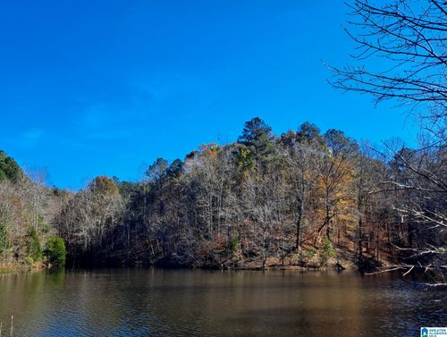 260-acres-13 State Road, Lynn, AL, 35575 | Card Image