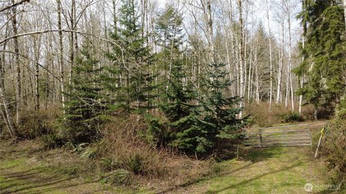 0 Blacktail Court, Quilcene, WA, 98376 | Card Image