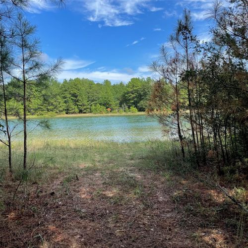 29340 Clydesdale Dr, Waller, TX, 77484-3994 | Card Image