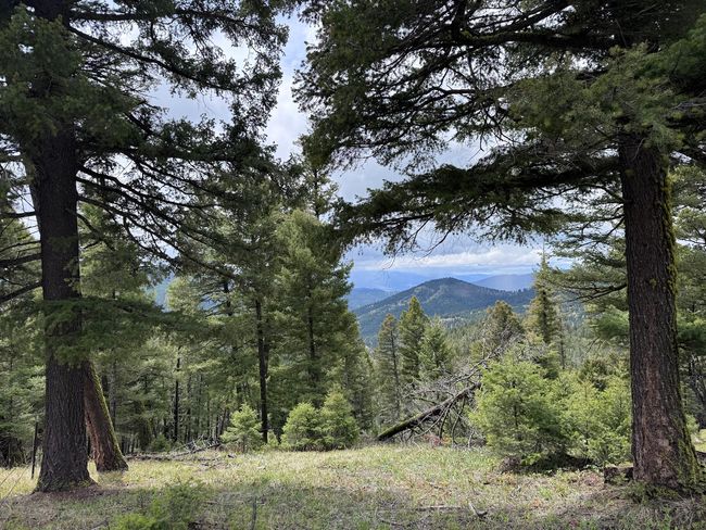 653 Canyon Hollow Lane, Home with 0 bedrooms, 0 bathrooms and null parking in Helmville MT | Image 14