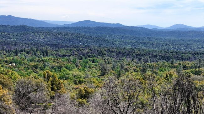 4632 Triangle Rd, Home with 0 bedrooms, 0 bathrooms and null parking in Mariposa CA | Image 11