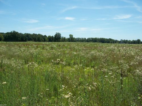 Lot A Masters Rd Road, Riley Township, MI, 48041 | Card Image