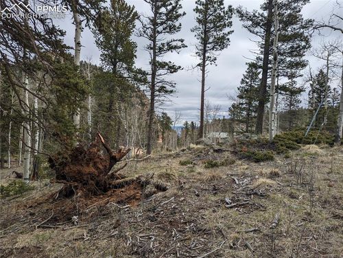 146 Waterfall Rd, Manitou Springs, CO, 80829 | Card Image