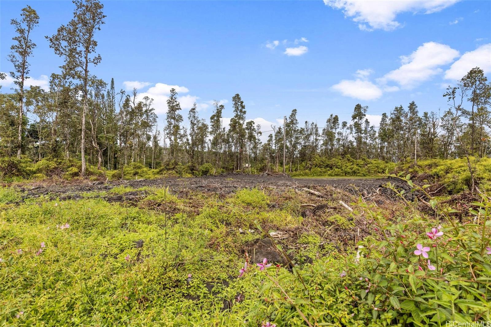Land in Pahoa