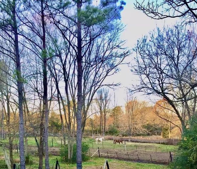 5755 Railroad St, House other with 1 bedrooms, 1 bathrooms and null parking in Williston TN | Image 13
