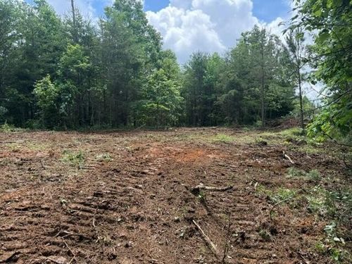 10775 S Pittsburg Mountain Rd, South Pittsburg, TN, 37380 | Card Image