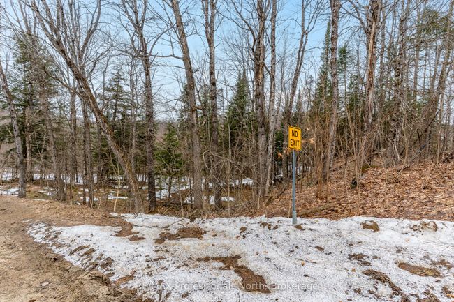 0 Ransley Rd, Home with 0 bedrooms, 0 bathrooms and null parking in Minden ON | Image 29