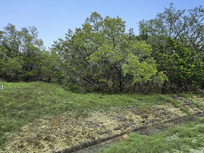 157 Verbena Cir, Home with 0 bedrooms, 0 bathrooms and null parking in Spring Branch TX | Image 24