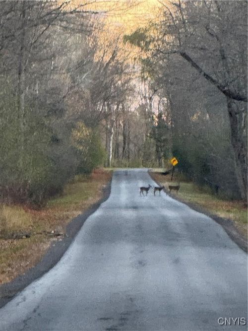 0 County Route 38, Norfolk, NY, 13667 | Card Image