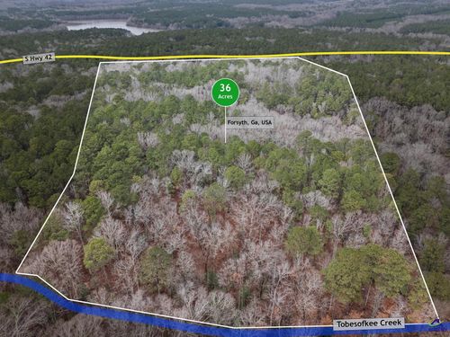 0 S 42 Highway, Forsyth, GA, 31029 | Card Image