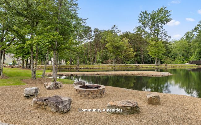 7258 Grey Hawk Trl, House other with 4 bedrooms, 3 bathrooms and null parking in Signal Mountain TN | Image 69