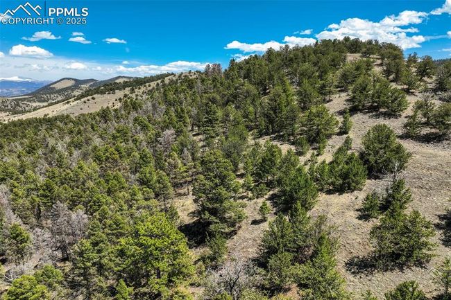 128 Nancy Ann Arroyo, Home with 0 bedrooms, 0 bathrooms and null parking in Guffey CO | Image 27