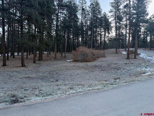 TBD Beaver Creek Dr, Bayfield, CO, 81122 | Card Image