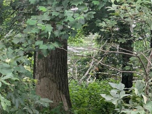 1656 Sky Park Rd, Florence, AL, 35634-2416 | Card Image