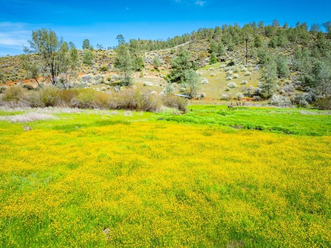 9000 Six Bit Gulch Rd, House other with 3 bedrooms, 2 bathrooms and null parking in Jamestown CA | Image 56