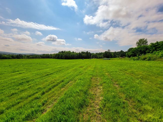 3 - 1545 Middle Road, Home with 0 bedrooms, 0 bathrooms and null parking in Bridport VT | Image 36