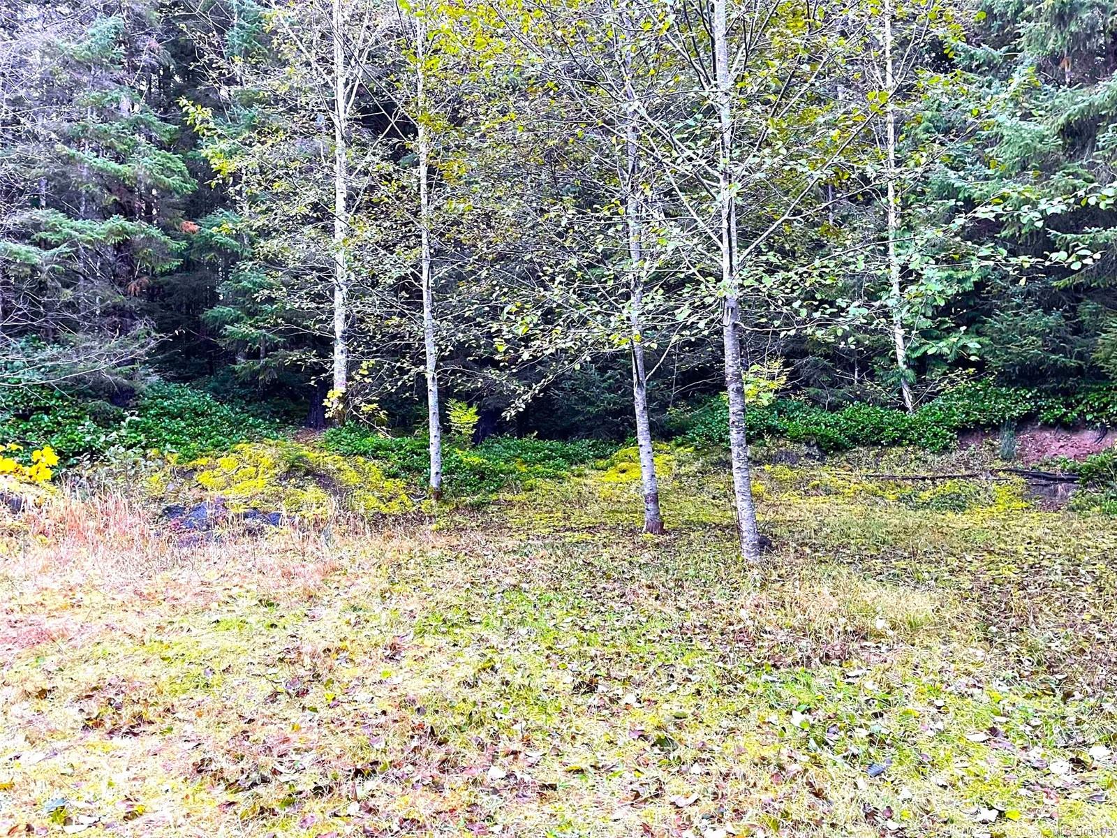 Residential in Sandspit 2