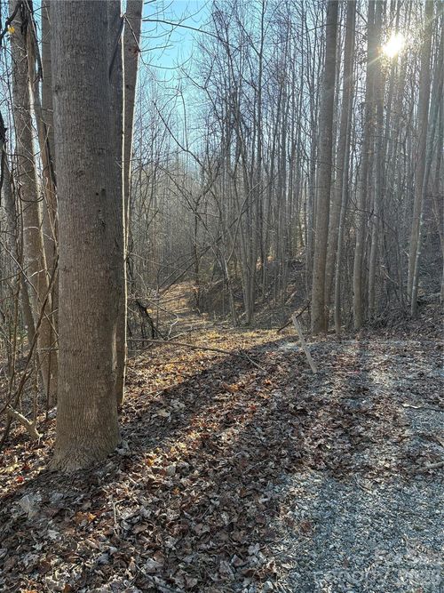 38v-V/L Brindlewood Drive, Nebo, NC, 28761 | Card Image