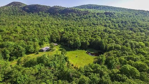 295 Wildcat Rd, Chittenden, VT, 05737 | Card Image