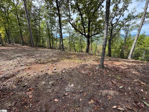 220 Blue Bonnet Trl, Marietta, SC, 29661-5164 | Card Image