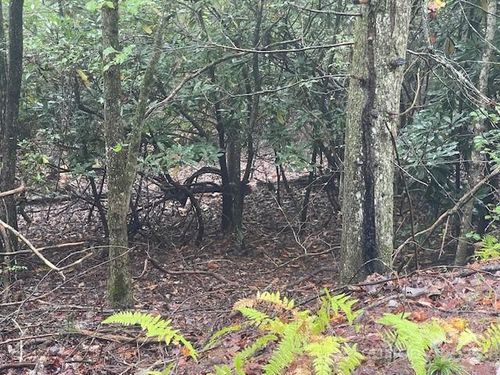 00 Mcdonald Ct, Pisgah Forest, NC, 28768 | Card Image